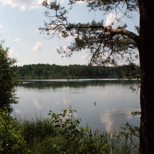 Photo #4337803