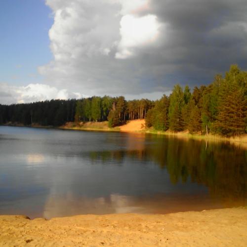 Photo #4337841