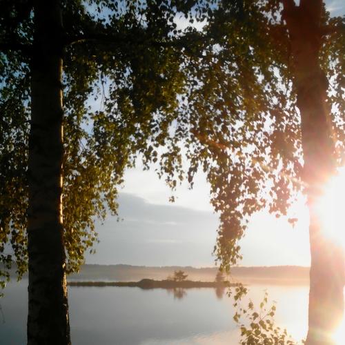 Photo #4337849