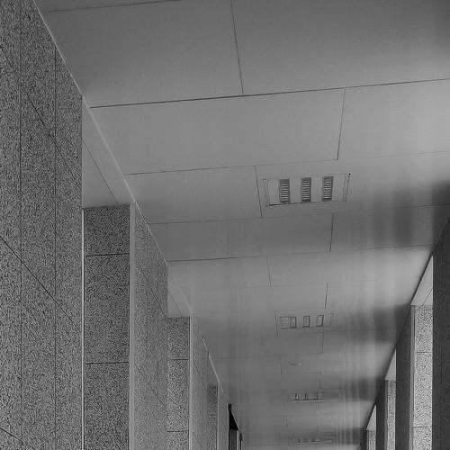 Photo #4338187
