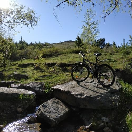 Photo #4338319