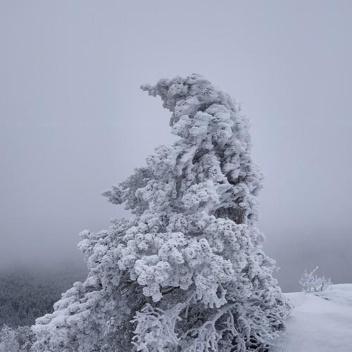 Photo #4338419