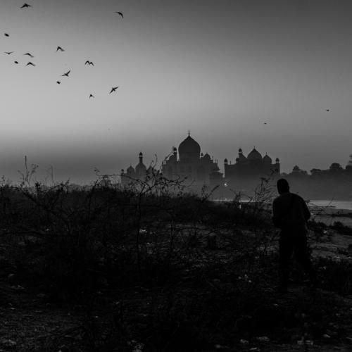 Dark Truth Of Taj.