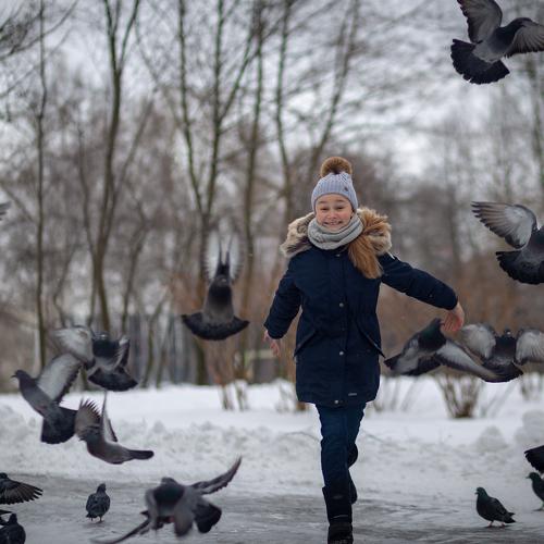 Photo #4339421