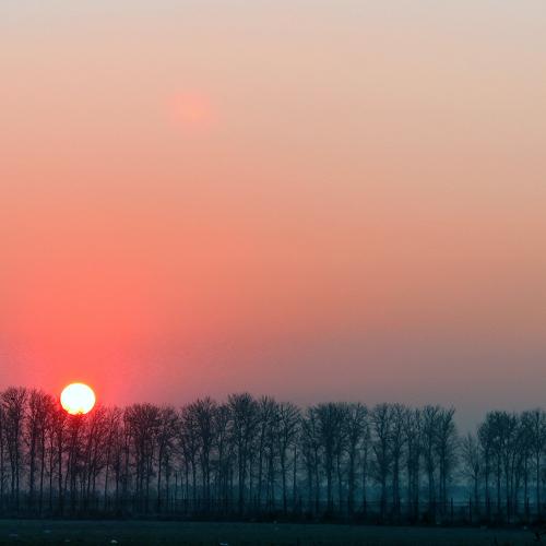 Photo #4339829