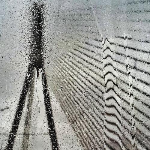 Photo #4339904