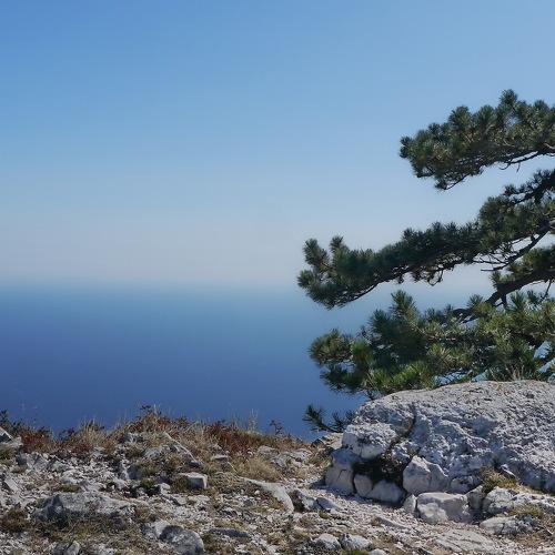 Photo #4340148
