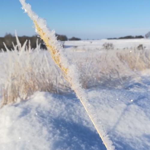 Photo #4340458
