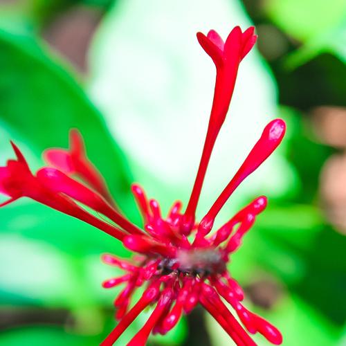 Photo #4340506