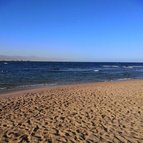 Photo #4341669