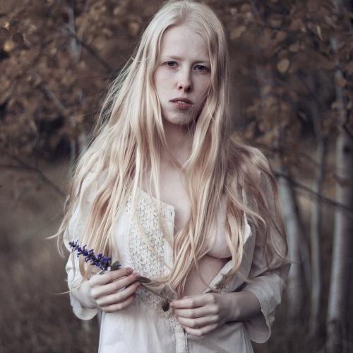 Photo #4341992
