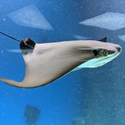 Photo #4342145