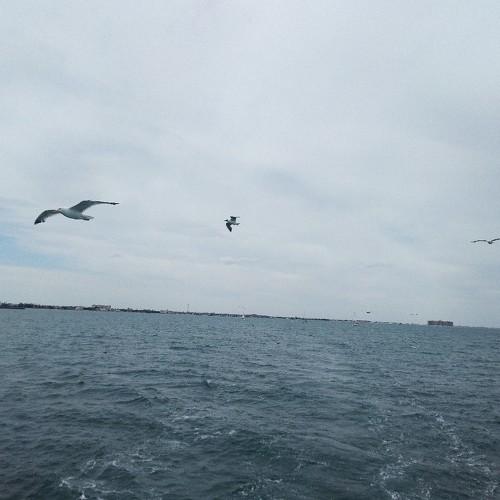 Photo #4342462