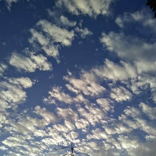 Photo #4342592