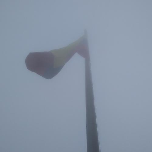 Photo #4342635
