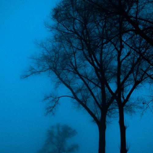 Photo #4342707