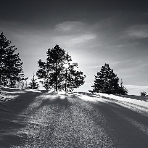 Photo #4342744