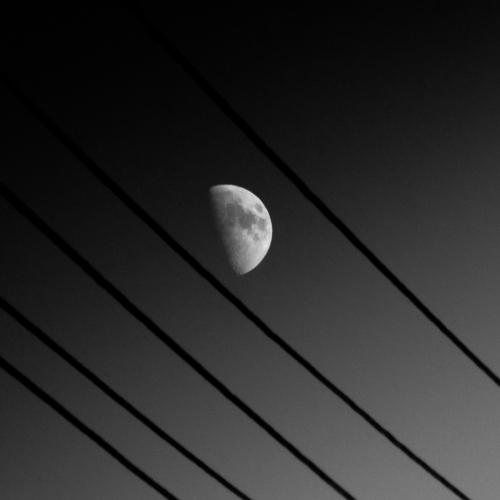 Photo #4343293