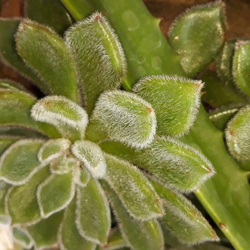 Photo #4343527