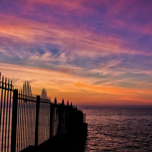 Photo #4343573