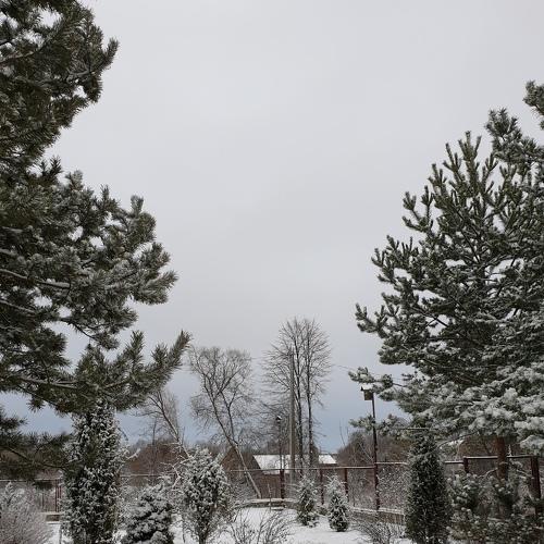 Photo #4343691