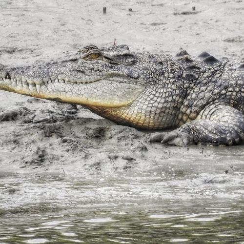 Photo #4344169