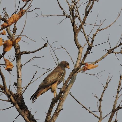 Photo #4344188
