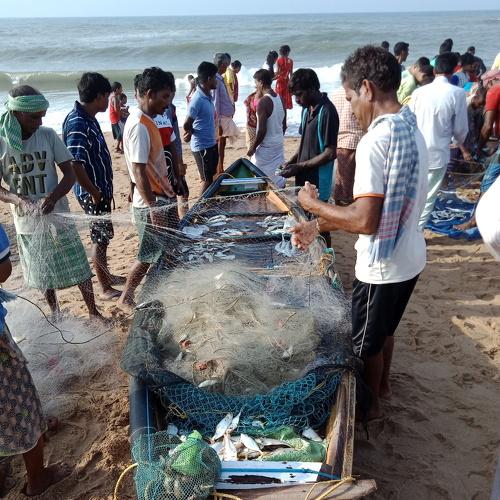 Daily life of Fishermen