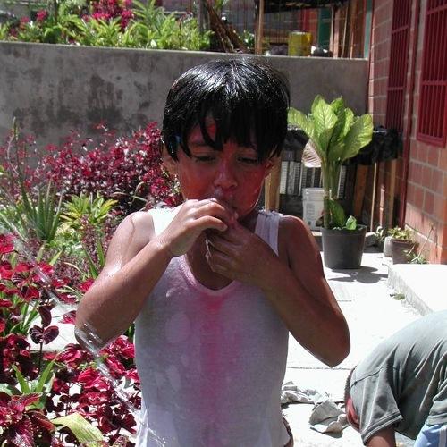 Photo #4344261