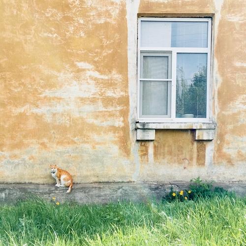 Photo #4345008