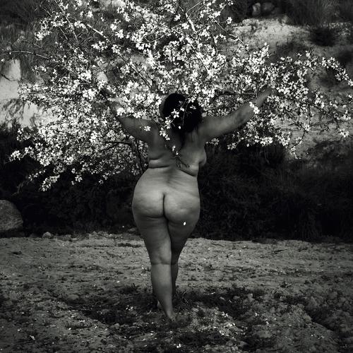 Photo #4345116