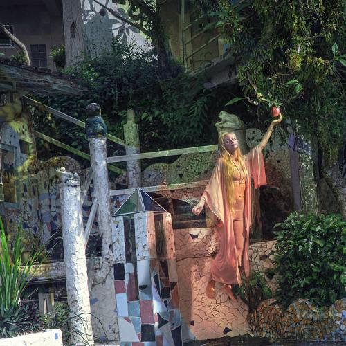 Photo #4345489
