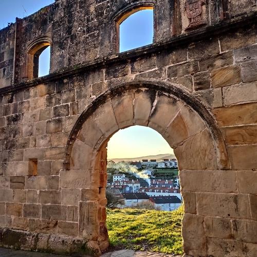 Photo #4345596