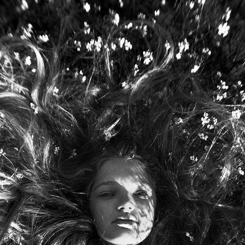 Photo #4345633