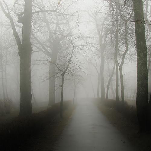 Photo #4345759
