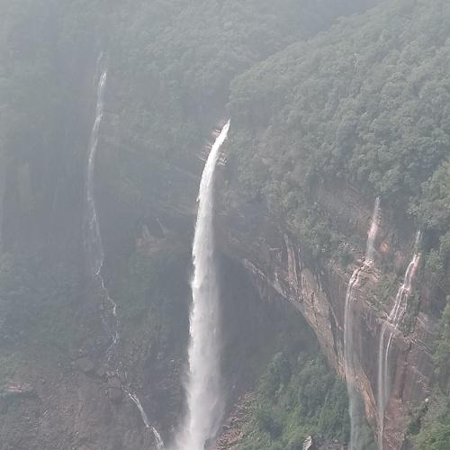 Photo #4345902