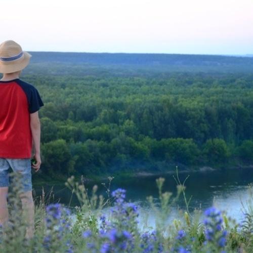 Photo #4346415