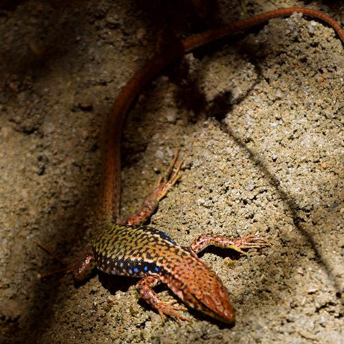 Photo #4346538