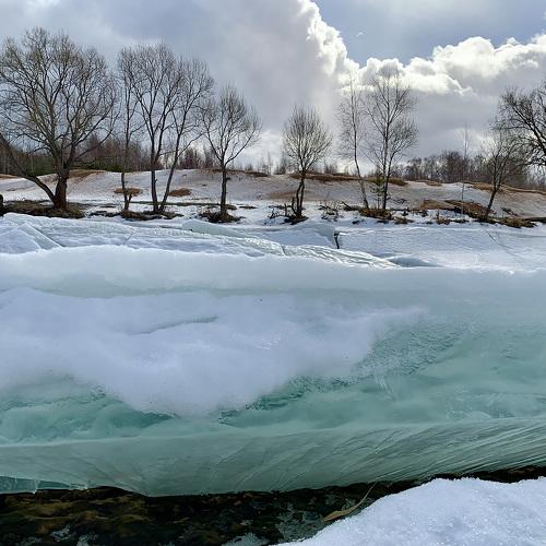 Photo #4346543