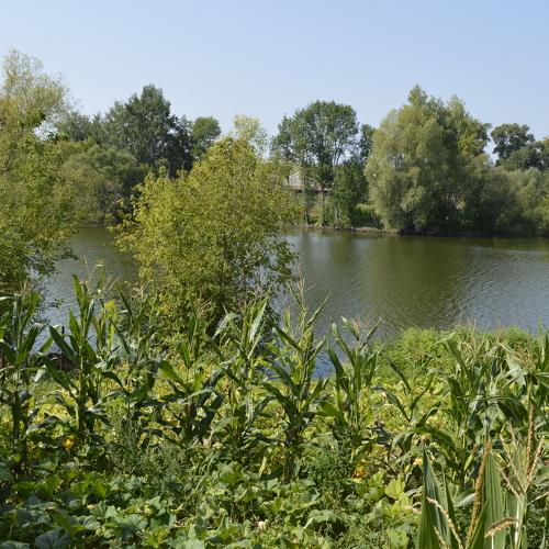 Photo #4346575