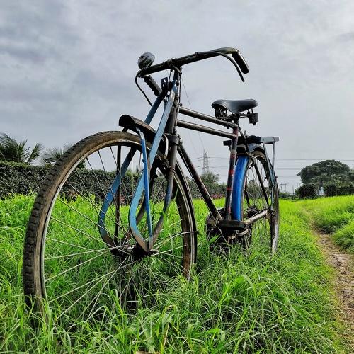 Photo #4346616