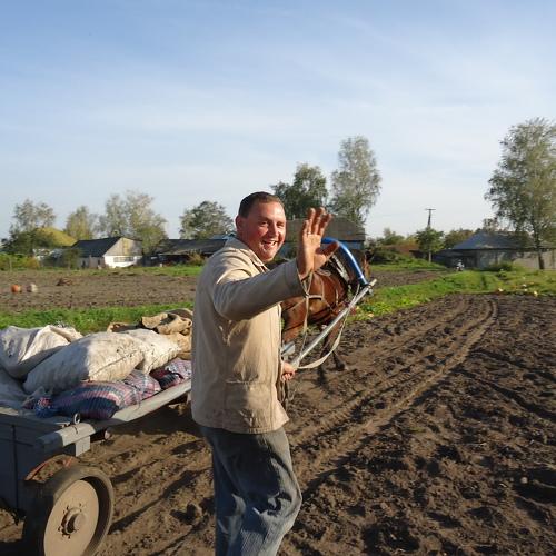 Photo #4346639
