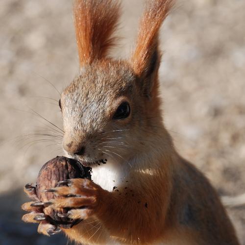 Photo #4346706