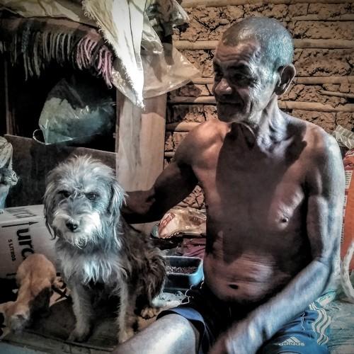 Photo #4346866
