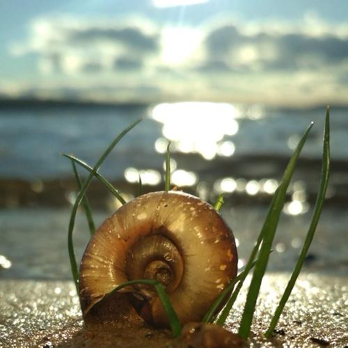 Photo #4347154
