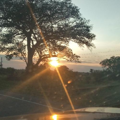 Photo #4347593