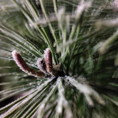 Photo #4347595