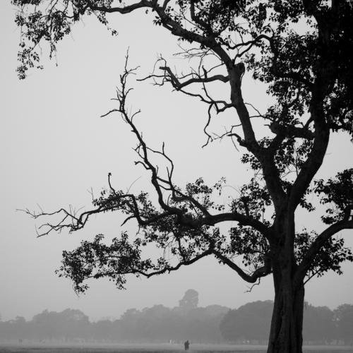 Photo #4347723