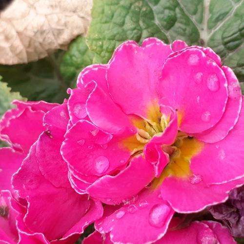 Photo #4348675