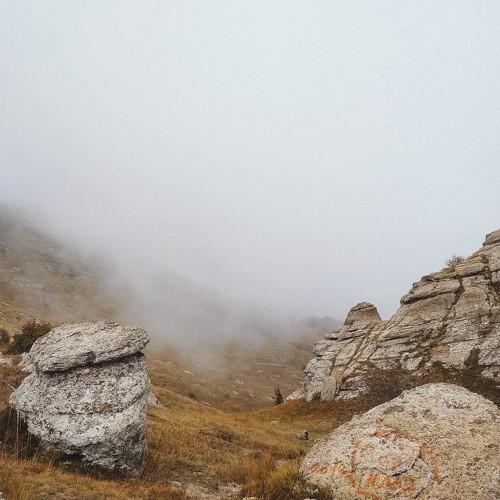 Photo #4348680